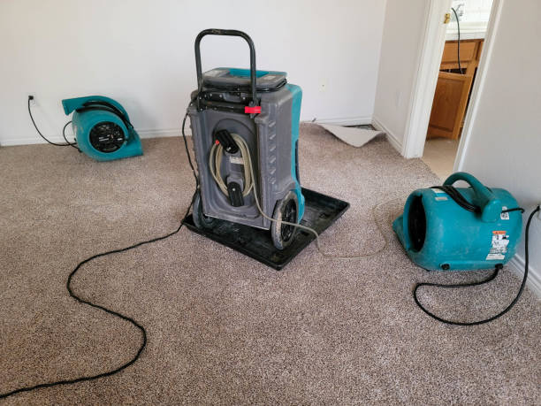 Best Sewage cleanup and water damage restoration  in East Whittier, CA