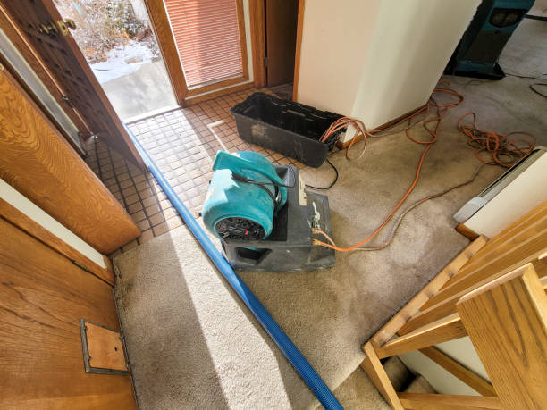 Best Fire Damage Restoration  in East Whittier, CA